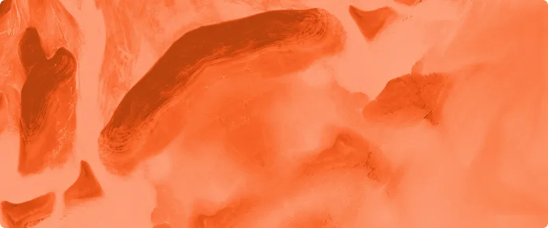 Liquid AI Introduces New Class of Foundational Models, Advancing AI Performance and Efficiency